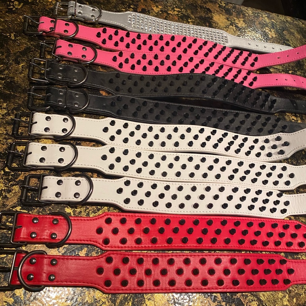 Titanium Spiked Dog Collar 24”